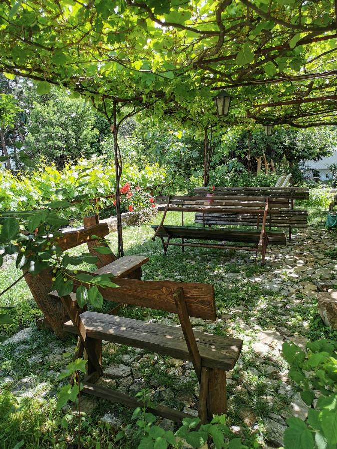 Apartment Chardak Ohrid